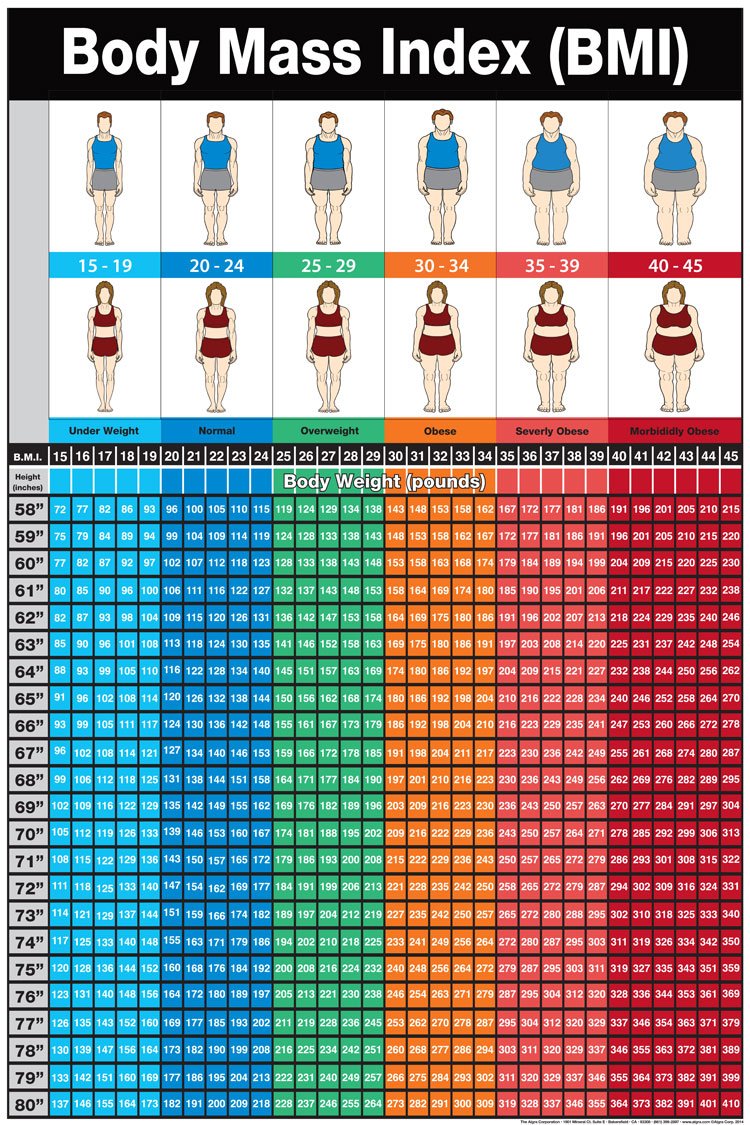 bmi calculator accurate for women